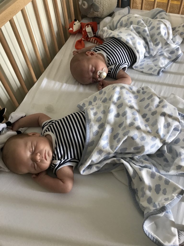 Newborn twins napping in their cot