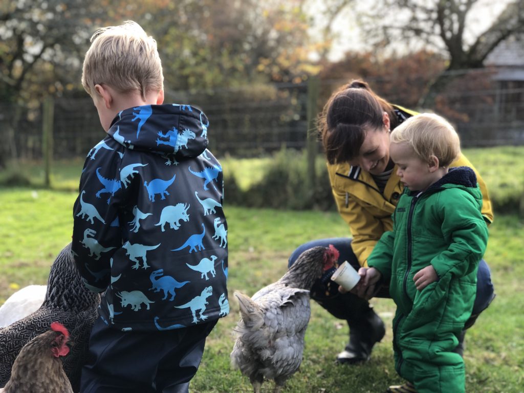 animal feeding at Tredethick