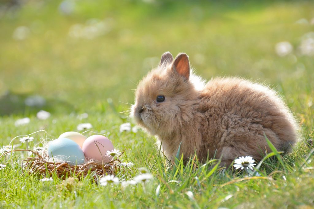 Easter days out in Plymouth