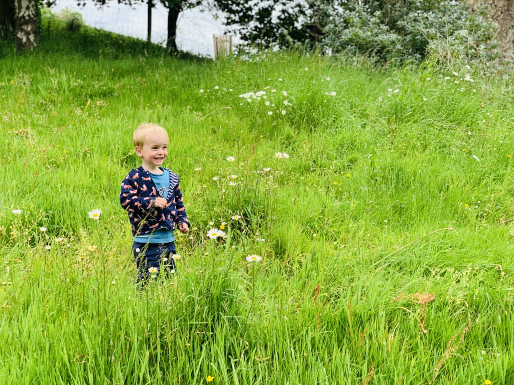 Toddler playing in the grass