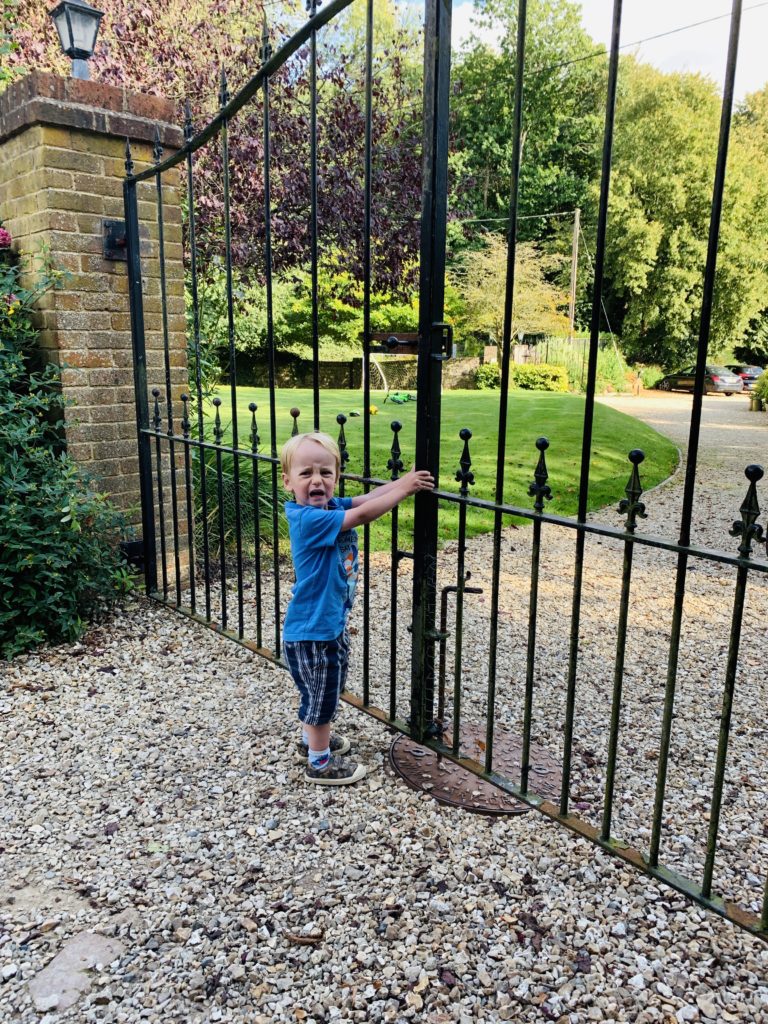 Toddler trying to get through gates at Greenwood Grange