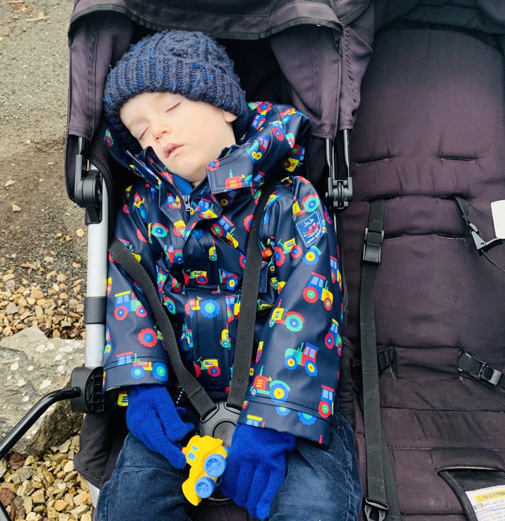 Toddler napping in the buggy