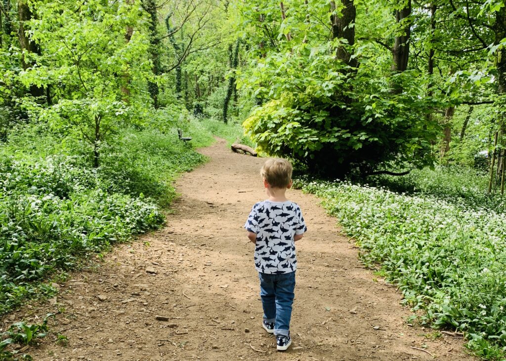 Toddler boy exploring Dunstone Woods