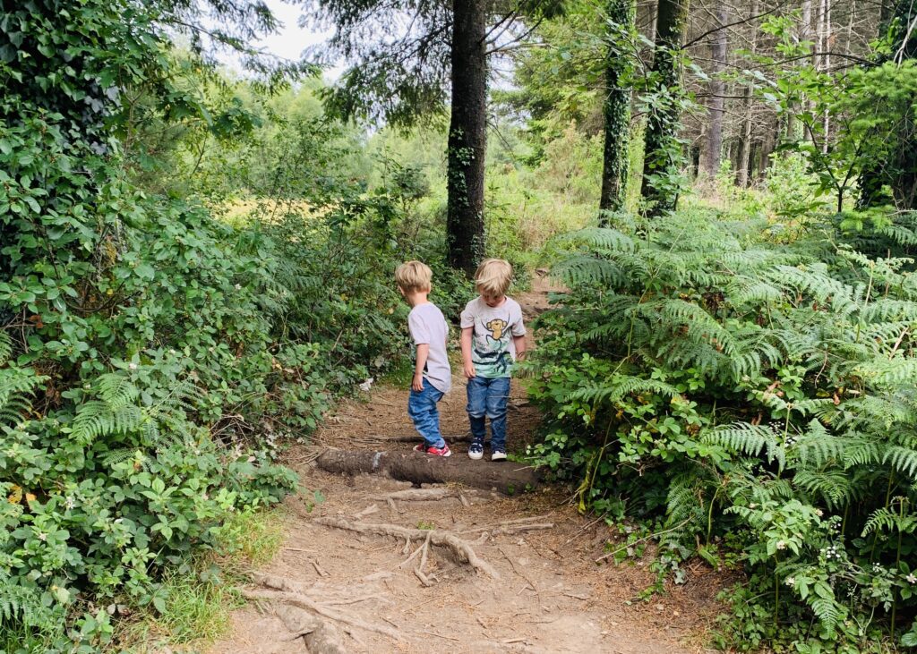 Twin toddler boys at Cann Woods Plymouth