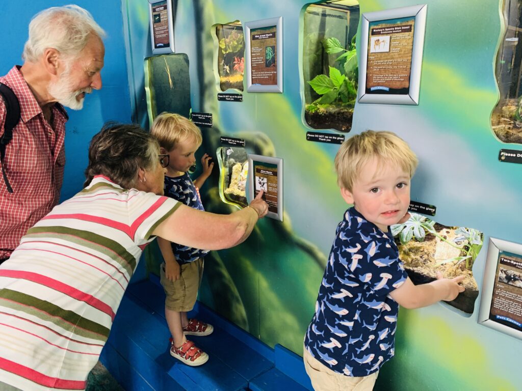 Grandparents and toddler twin boys look at bugs in the bug house at Camel Creek