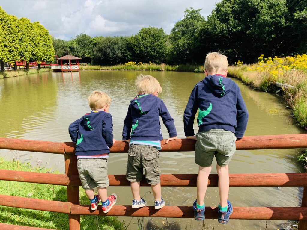 Three brothers stood on a fence over looking a lake feeding fish at Springfields Fun Park