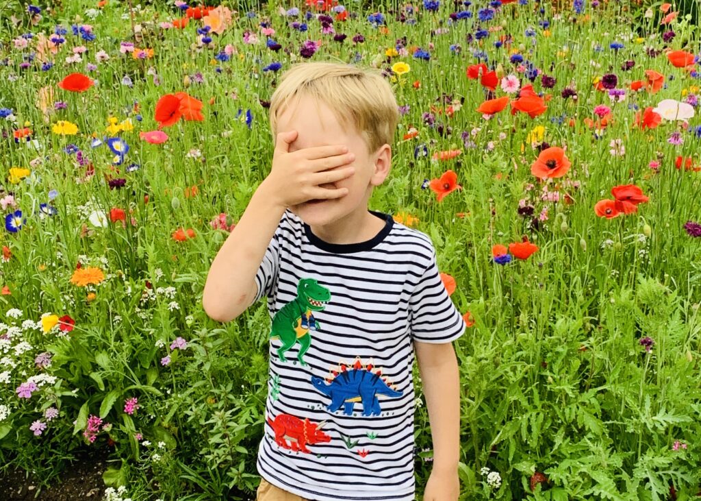 Five year old in wild flowers