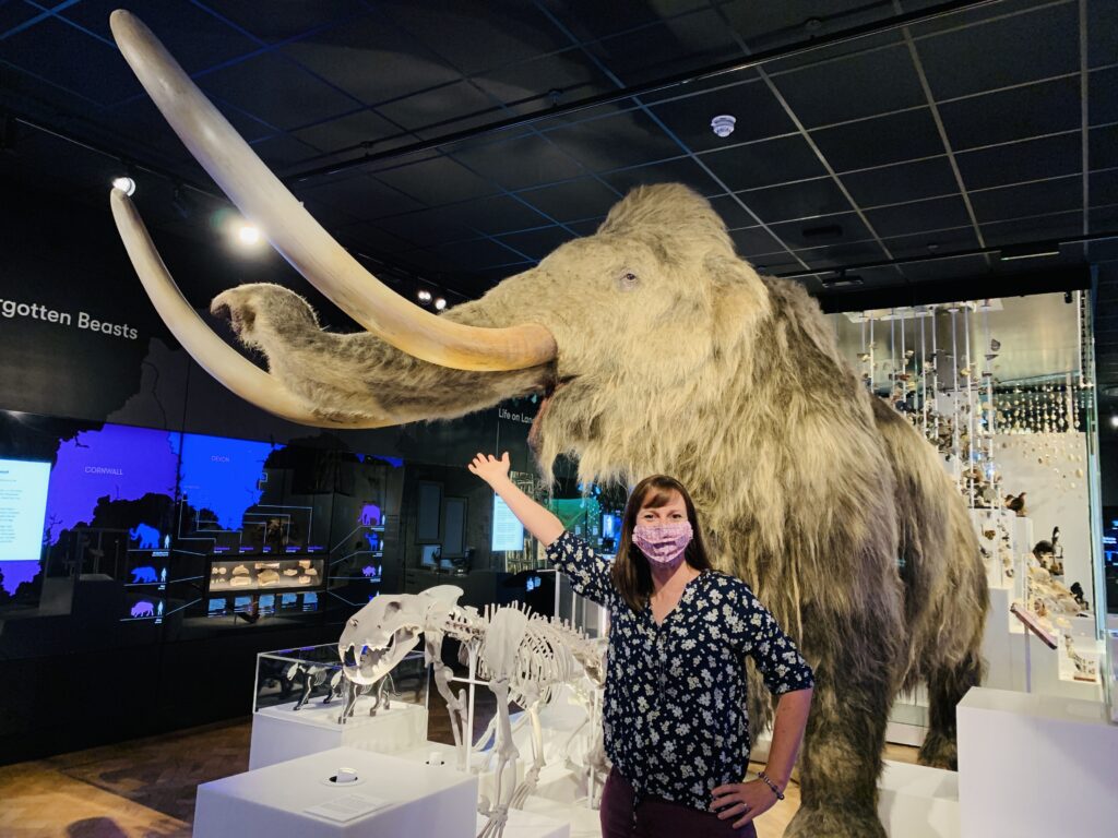 Woman standing in front of and pointing to a to scale model of a woolly mammoth at The Box in Plymouth