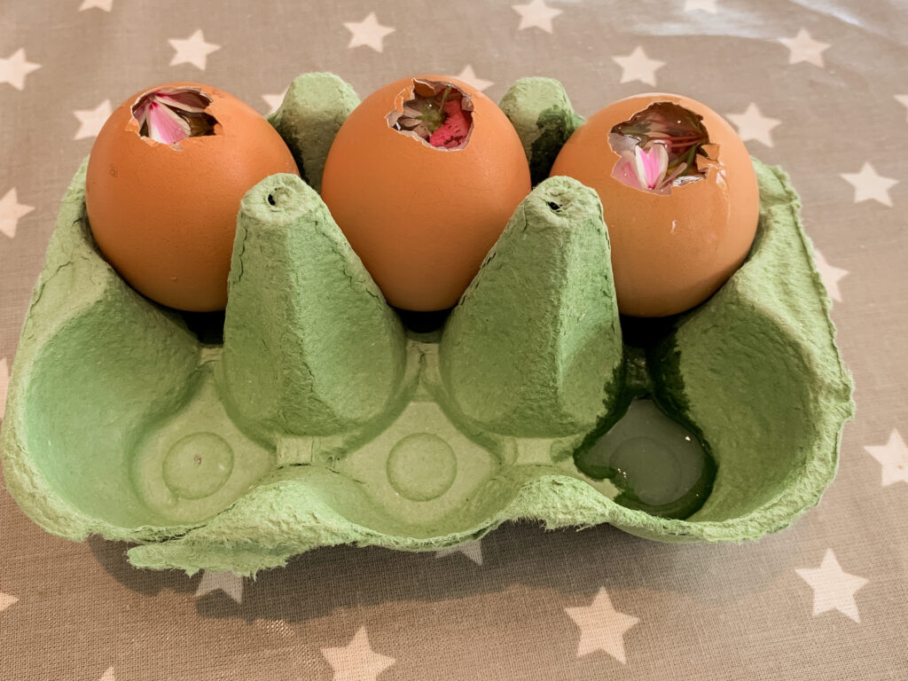 Three egg shells standing in an egg box with a hole in the top of each one filled with water and petals and leaves with water ready to freeze to make frozen eggs