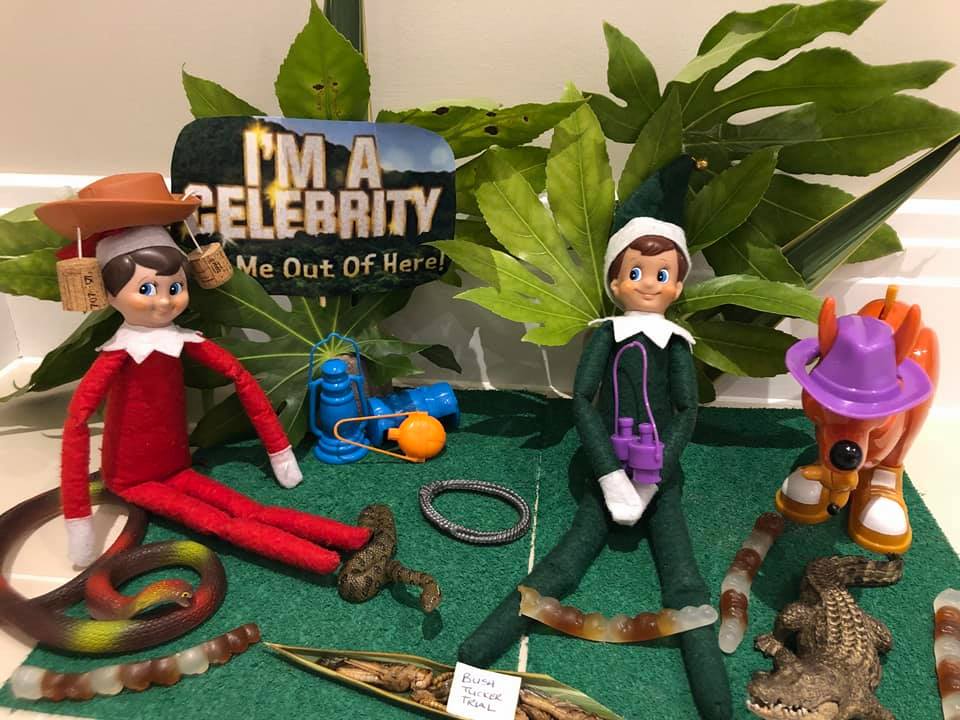 Elf on the Shelf Ideas - I'm A Celebrity