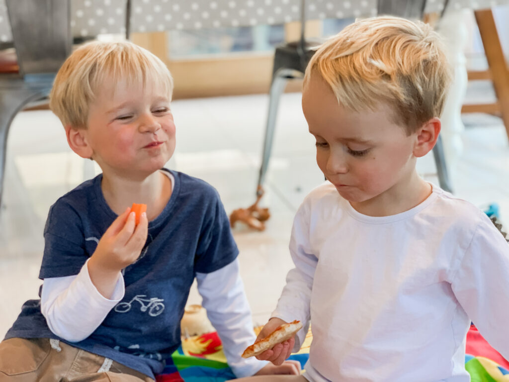 Three year old twin boys eat a picnic on the rug at home. Parents wondering whether they should be separating twins at school