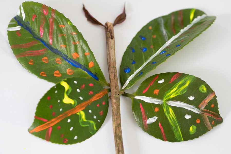 A butterfly made out of leaves and a stick, as a potential activity for a half term in lockdown