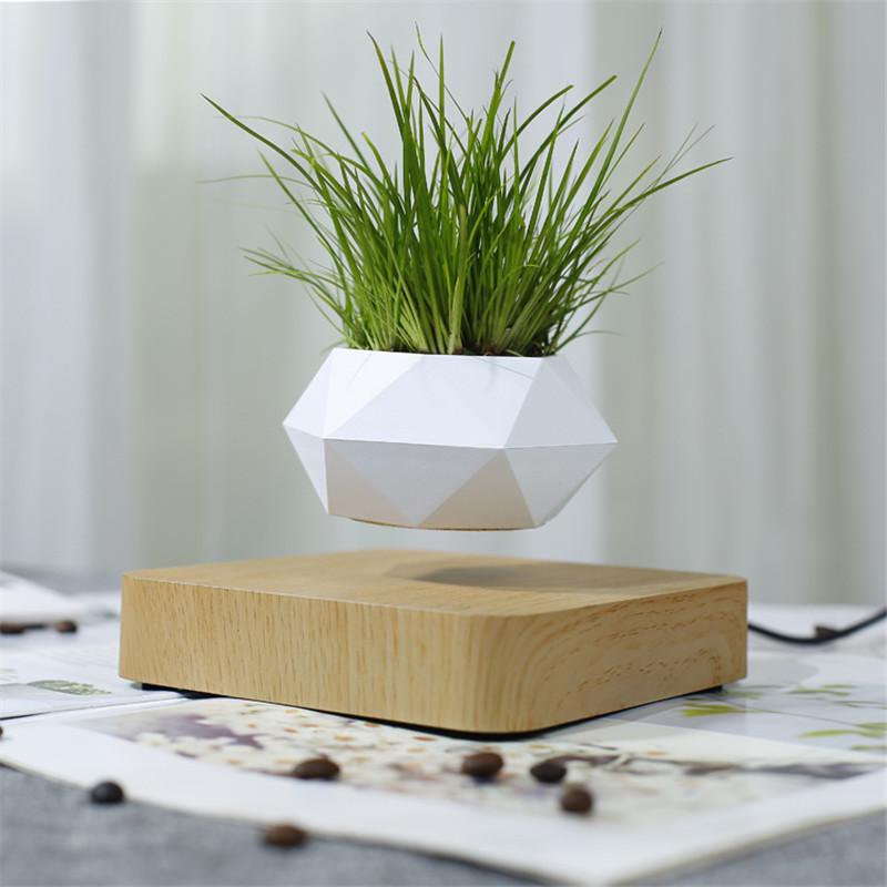 A white plant pot levitating over a wooden base with a green plant in it