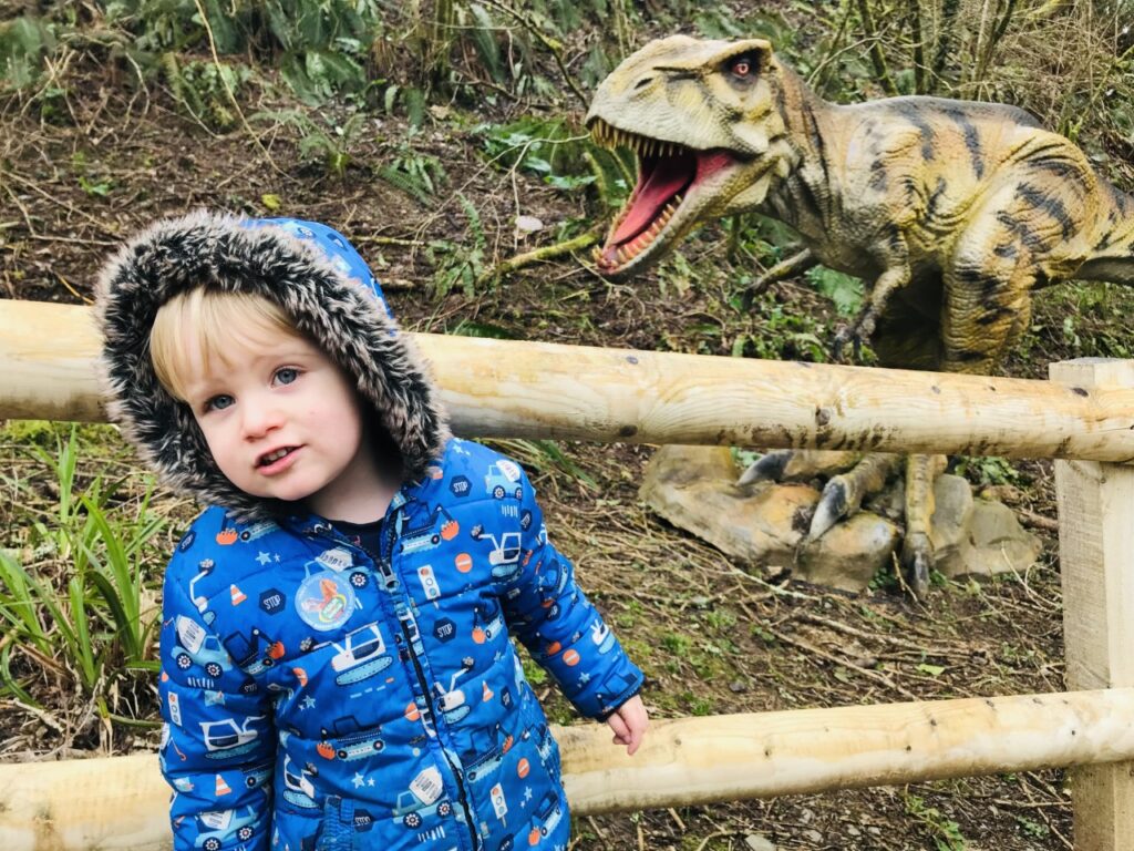 Two year old boy with a blue winter coat and a model dinosaur behind him