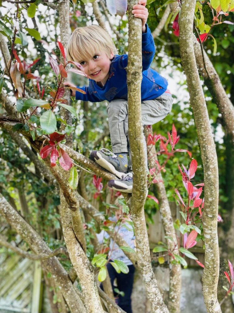 Three year old blond boy climbs high up in a tree