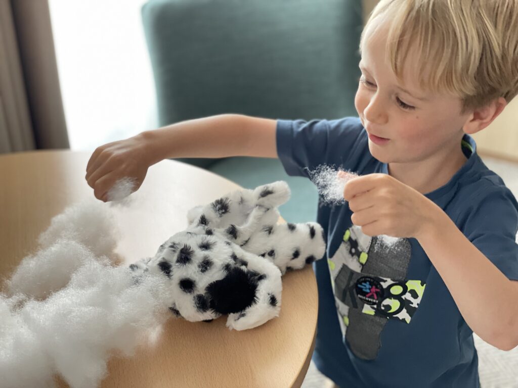 Little four year old boy is excited to see a cuddly toy build kit at a family friendly hotel in cornwall