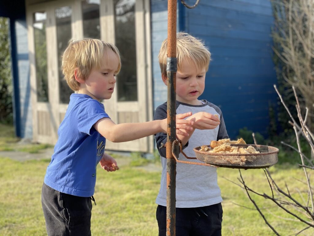 Twin three year old boys put bread on a bird table in the garden