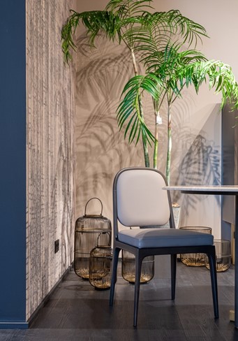 A metal chair and lantern holder cage next to a wooden wall and plant showing off global style decor