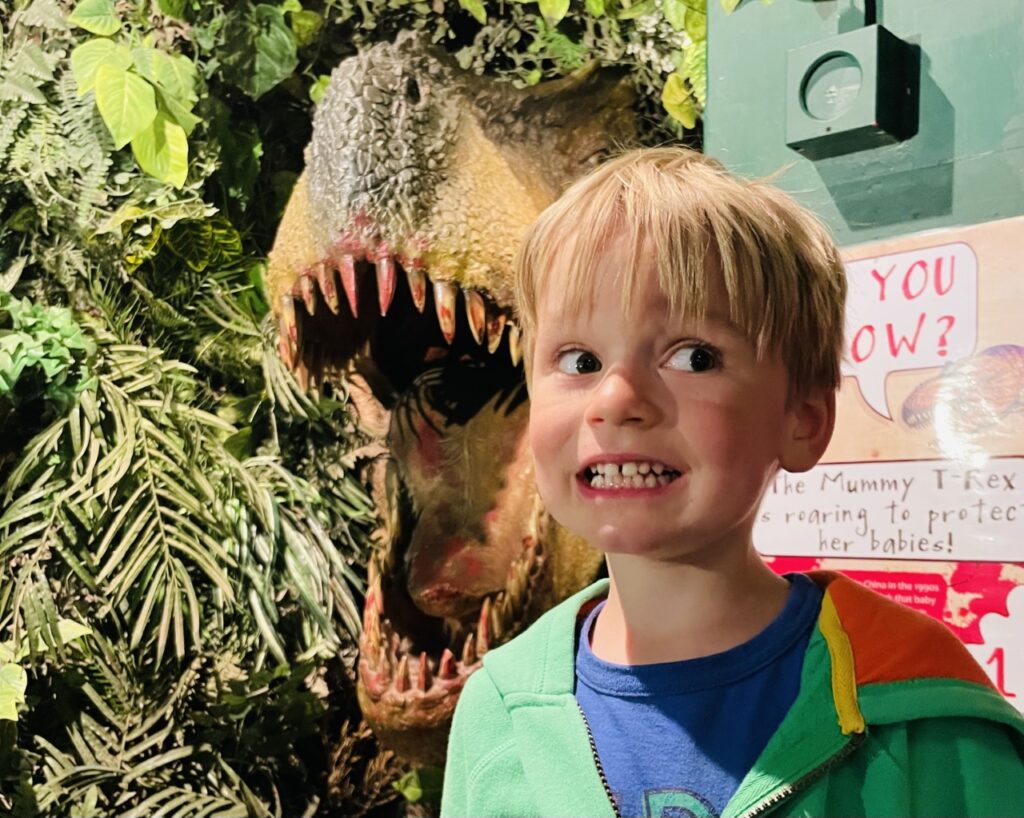 Four year old boy looks scared next to a t rex at a dinosaur museum near Plymouth