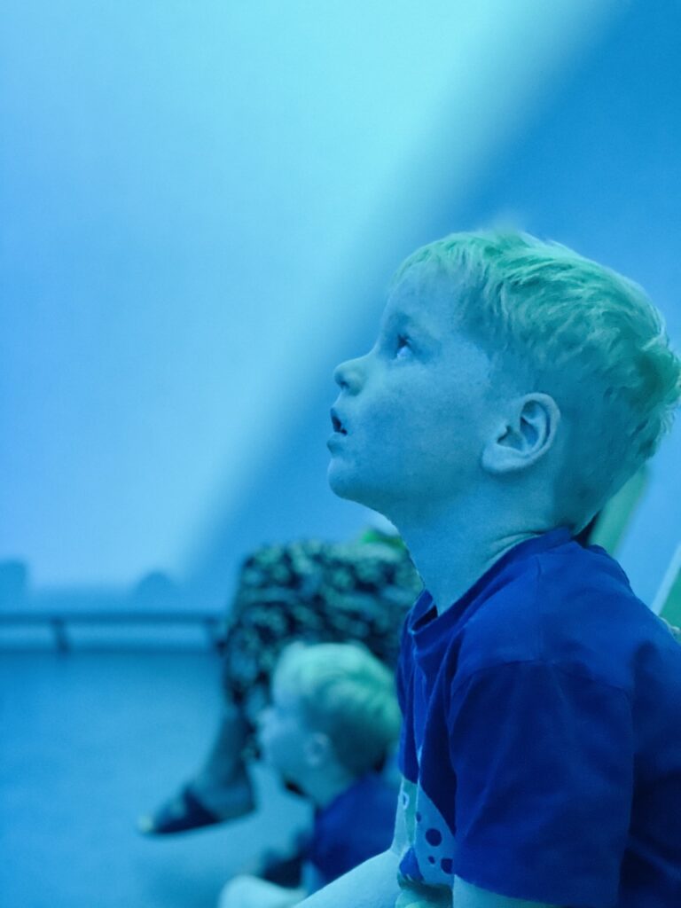 A four year old boy watching an immersive dome experience at Plymouth's Market Hall