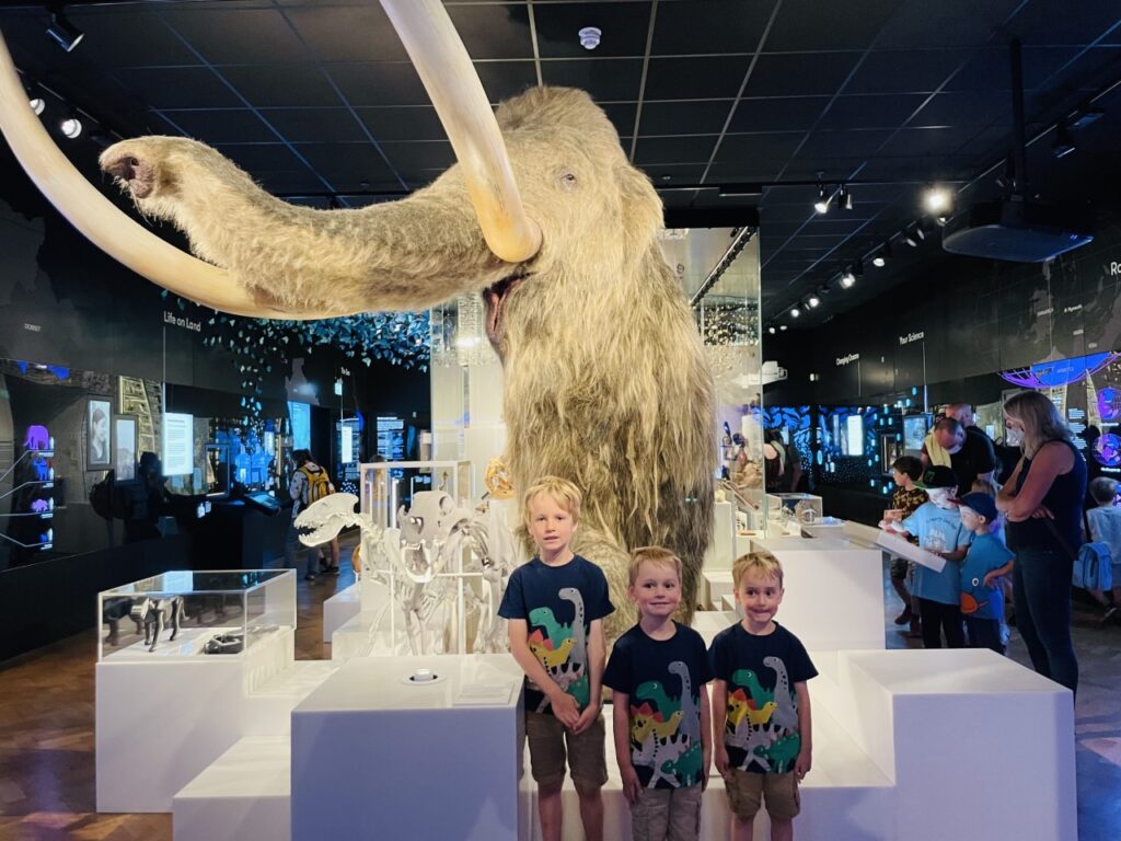 Three boys in front of a woolly mammoth at The Box museum - ideas of things to do indoors in Plymouth with kids