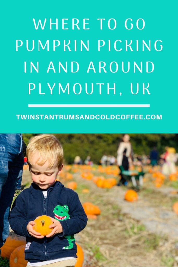 Pin image of a small boy holding a pumpkin on a pumpkin patch near Plymouth