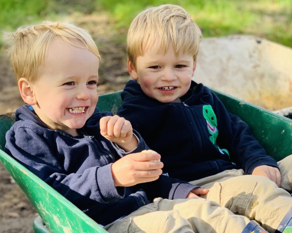 Two year old twin boys in a wheelbarrow pumpkin picking in Plymouth