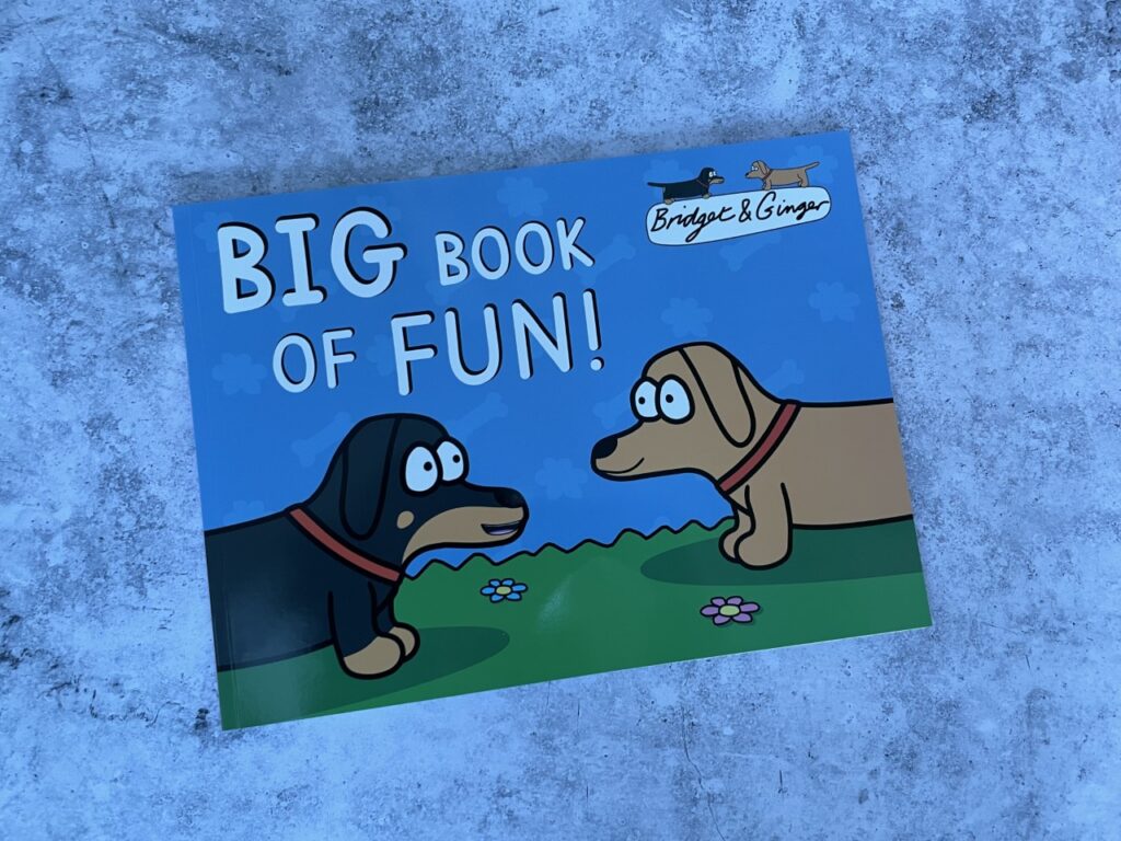 Bridget and Ginger big book of fun