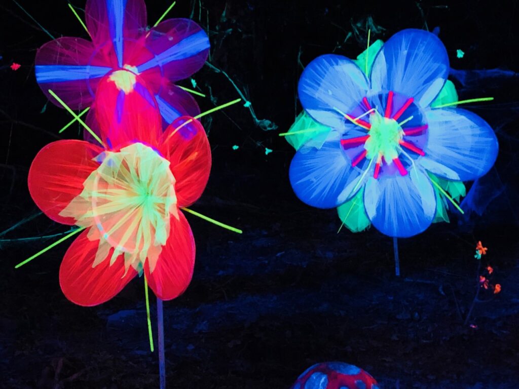 Lit up flowers as part of Bluestone's winter lights festival