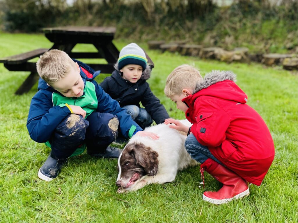 Brothers stroke Rosie the dog on the grass at Trecan Farm Cottages