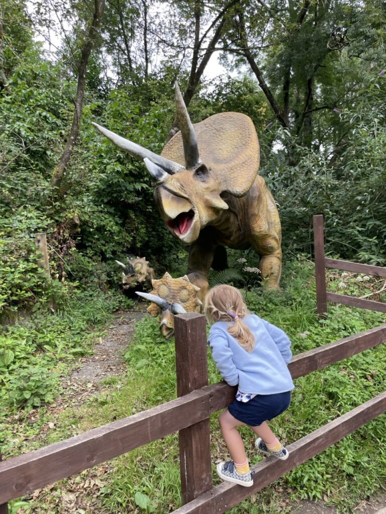 Little girl on a fence watching a triceratops at Combe Martin dinosaur and wildlife park