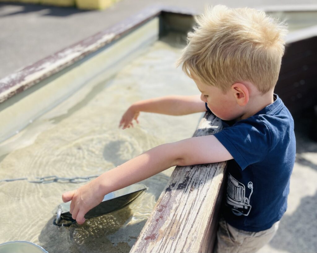 A little boy playing in a goldmining sand and water trough at Crealy, one of the best family holidays in Devon