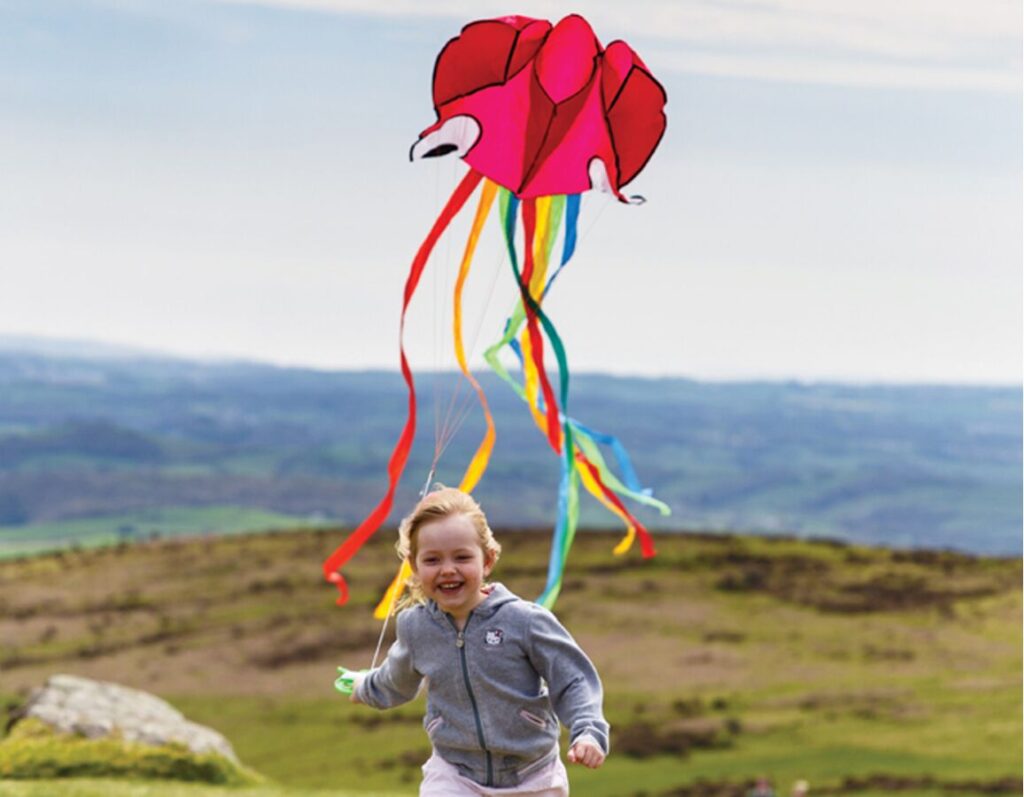 Kites from Wicked Uncle are great toys to take camping