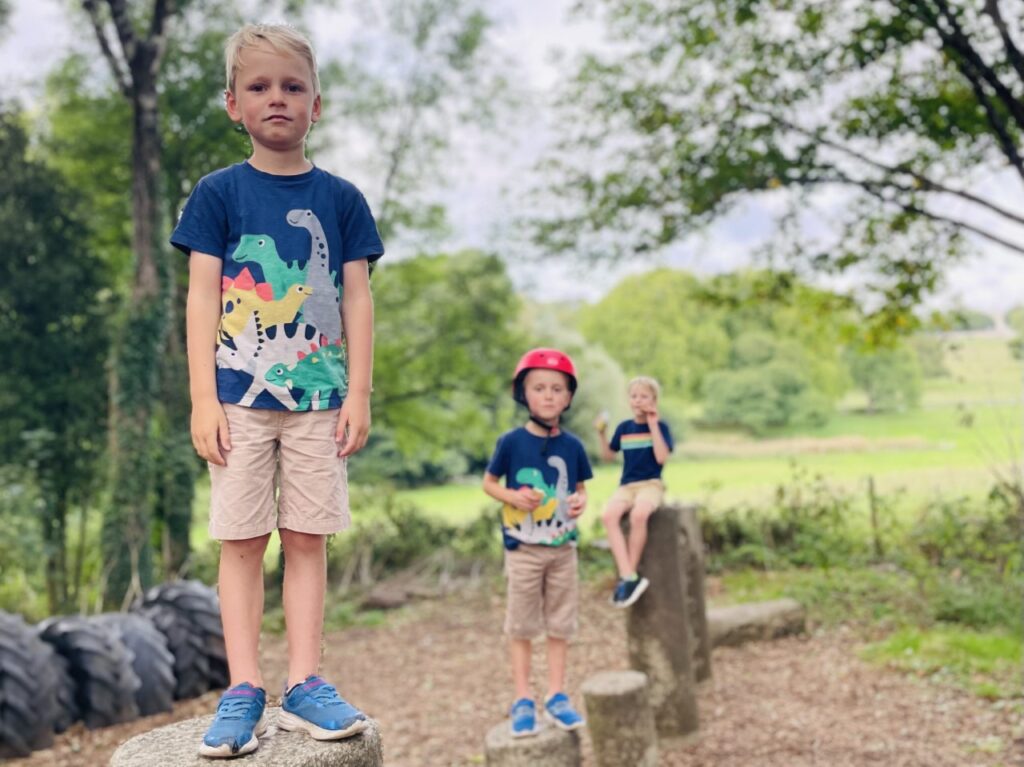 Three boys stood on tree stumps for a post about how to understand how children think