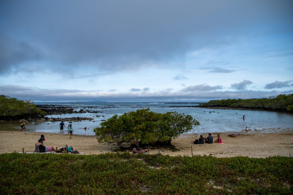 Galapagos islands is a great place for family adventure travel