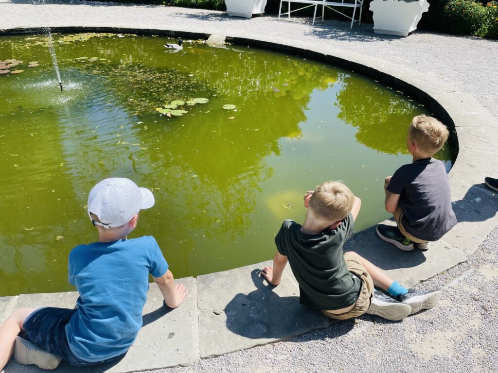 Brothers sit on the edge of the pond at Saltram in Plymouth