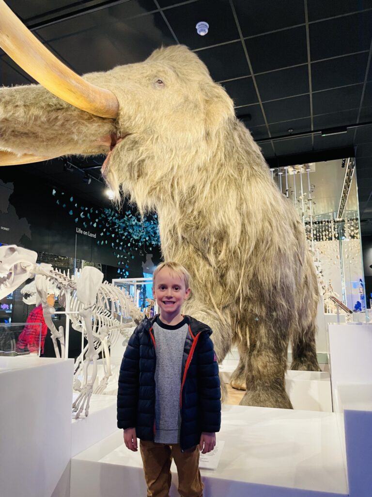 A boy next to the model of the woolly mammoth at The Box museum