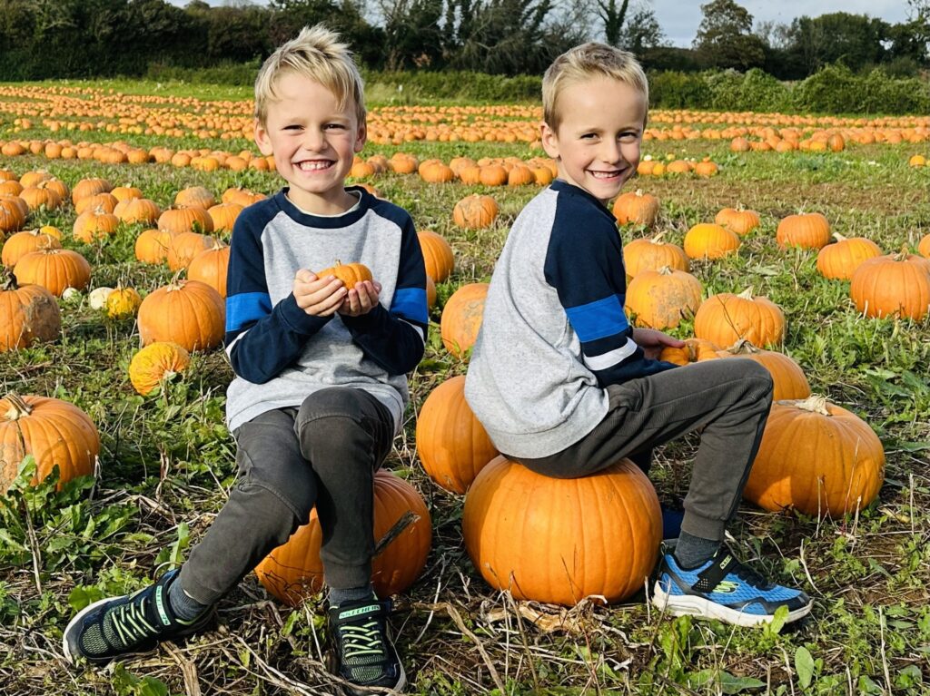 Pumpking picking in Plymouth at Pips Pick Your Own