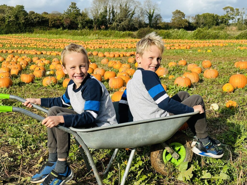 Pumpkin picking in Plymouth at Pips Pick Your Own