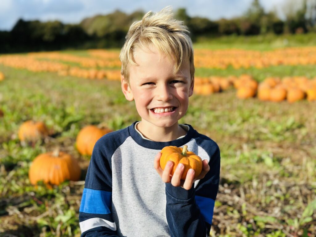 Pips Pick Your Own pumpkin picking in Plymouth