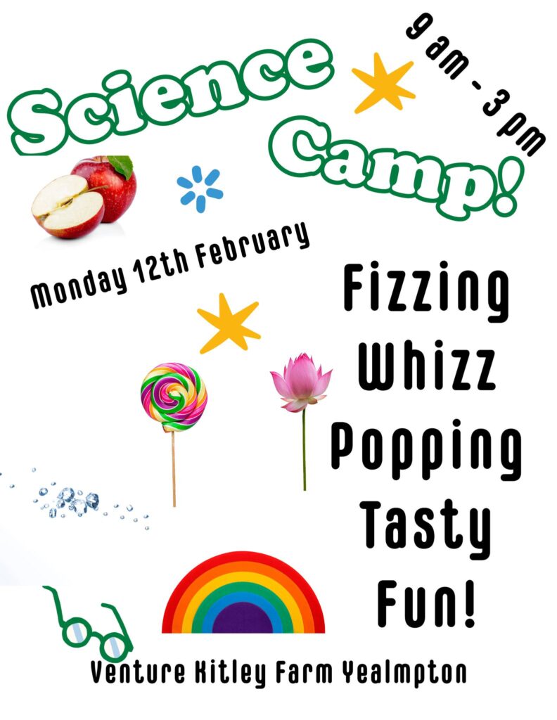 Science camp during half term in Plymouth