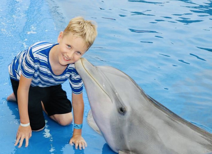 Blonde boy with a dolphin kissing his cheek at Marineland in Mallorca Majorca