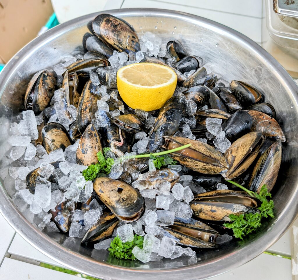 Oysters at Royal William Yard