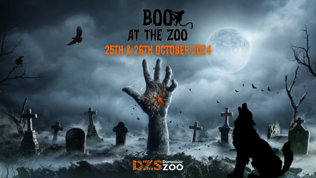 Boo At Dartmoor Zoo for Halloween 2024