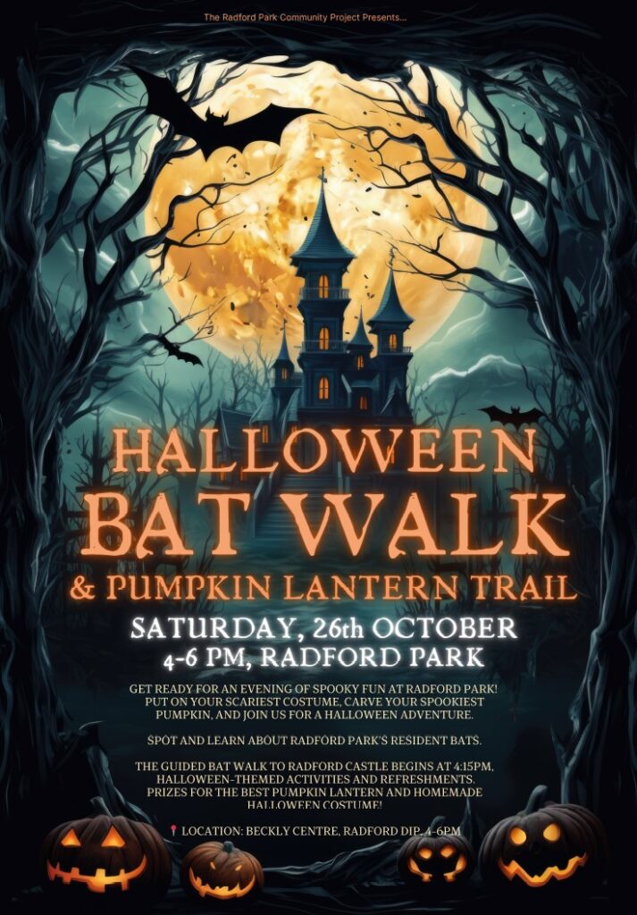 Halloween bat walk at Hooe Lake