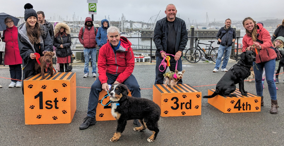 Dog show at the Lights Switch On event at Plymouth's Barbican